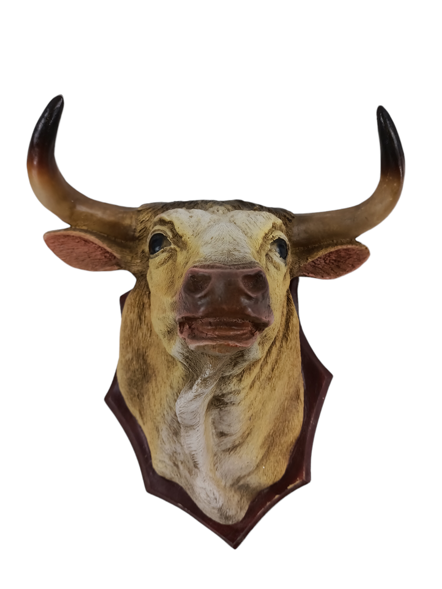 Cabeza de Toro Decorativa de Resina – Montaje en Pared Estilo Charro y Cowboy