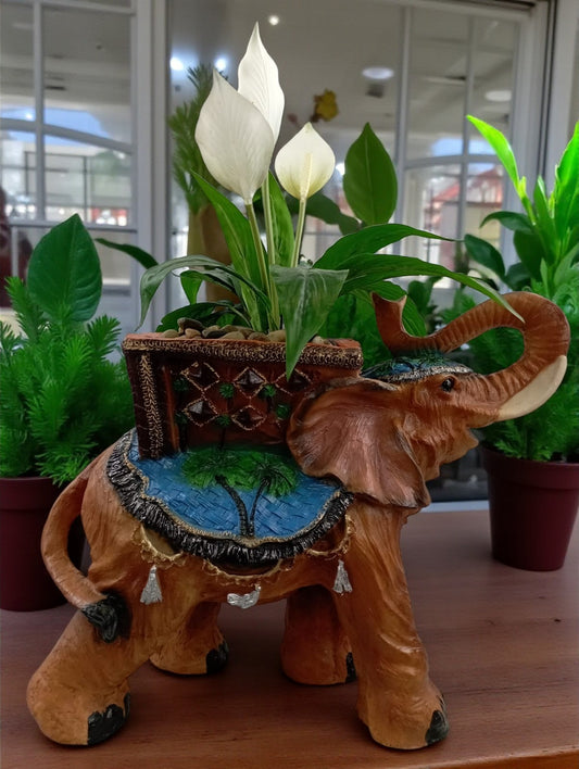 Maceta Decorativa con Forma de Elefante – Atrae Energía Positiva a tu Espacio