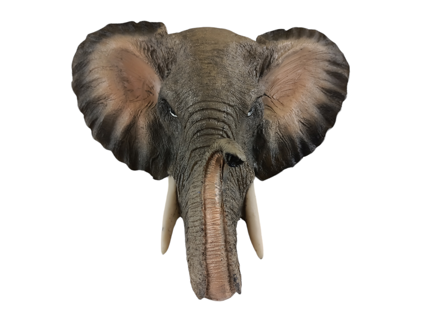 Elephant animal head trophies for wall decorations 