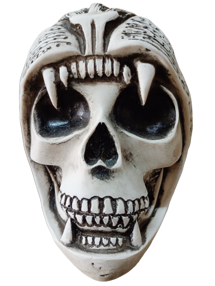 Cráneo Decorativo Cabeza De Jaguar Muertos Santa Muerte